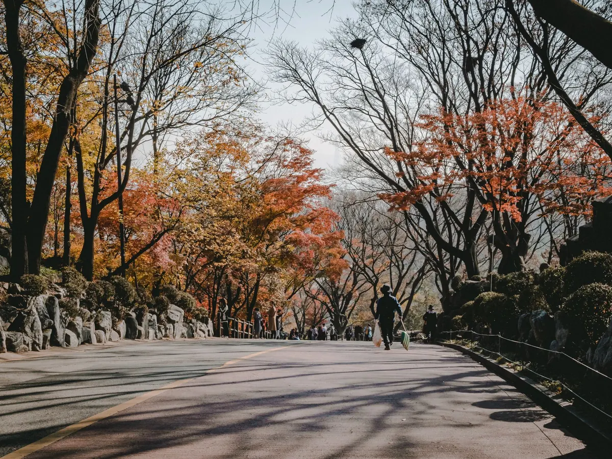 How to Use a British Park Walk for Mindfulness (No Special Equipment Needed)