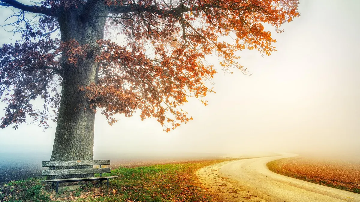 The Autumn Reset: A Gentle Seasonal Plan for Habits and Wellbeing